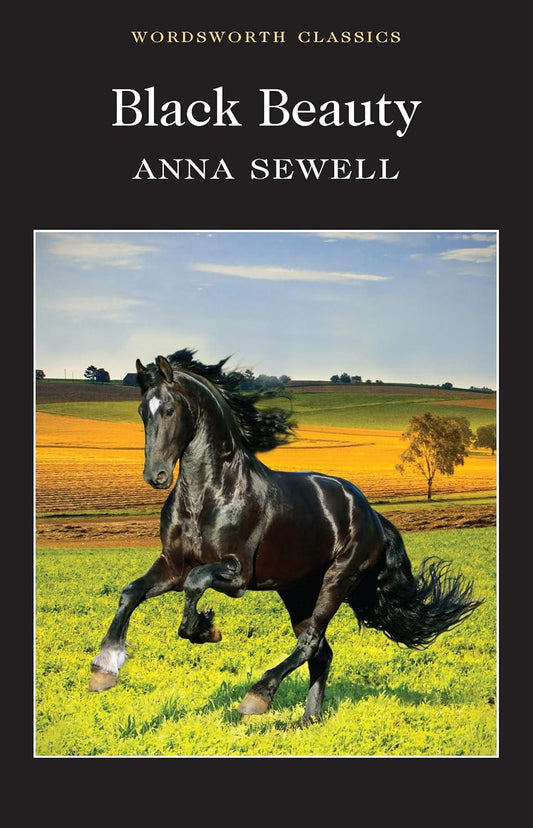 Black Beauty by Anna Sewell - Bookstagram Bahrain